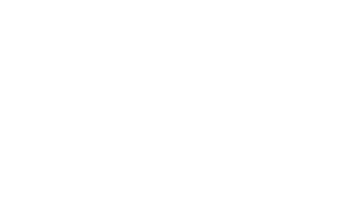Female Future Logo