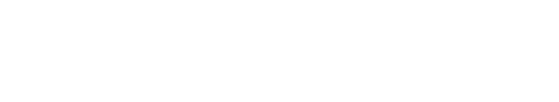 logo-diepresse