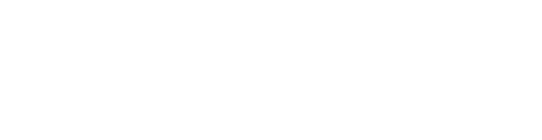 logo-diepresse