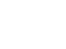 logo-kronenzeitung