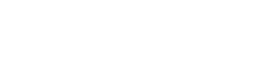 logo-wienerin